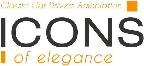 logo ICONS magazine
